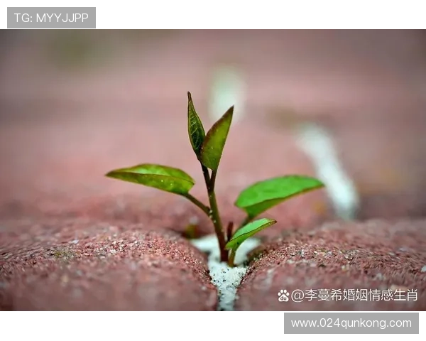 曾淑雅：都市中的一抹静雅，点亮生活别样色彩