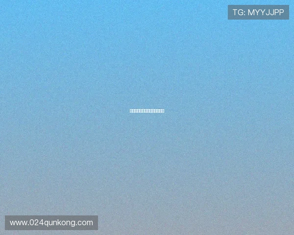 夺命海湾：迷雾下的诱惑与深渊